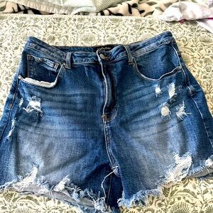Wild oak boutique shorts